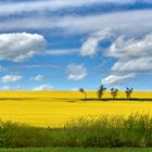 Wolken ziehen übers Land, die hier fand ich sehr passend zu der....