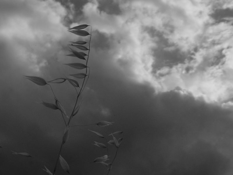 Wolken ziehen vorbei