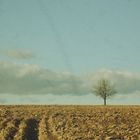 Wolken ziehen vorbei (oder Baum #2)