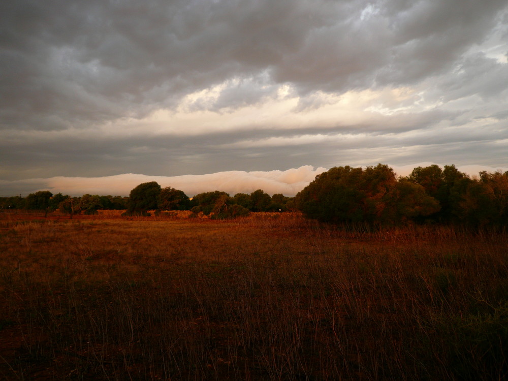 Wolken ziemlich tief, Mallorca am Tage des ersten Orkans über Palma