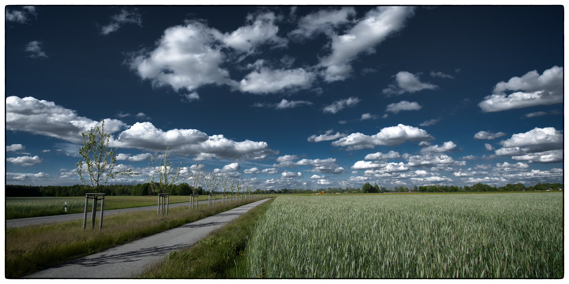 Wolken zum abpflücken