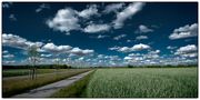 Wolken zum abpflücken von Torsten Schandert 