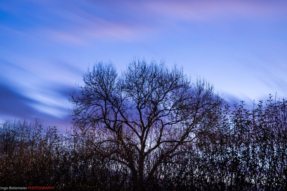 Wolken zur blauen Stunde