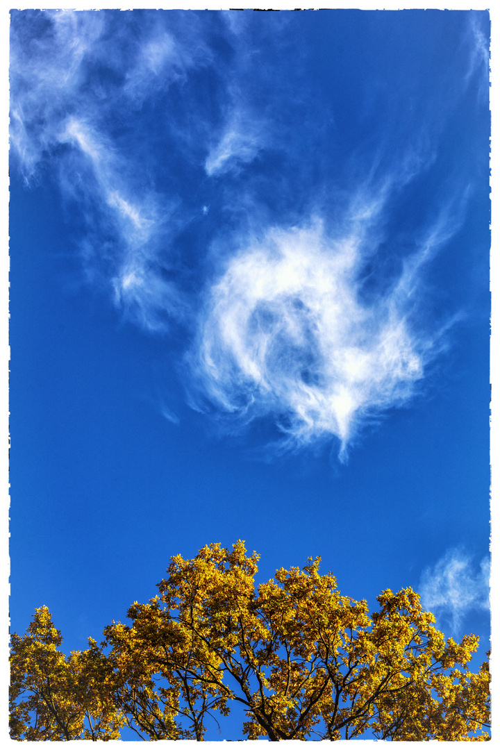 Wolkenafghane über Herbstlaub