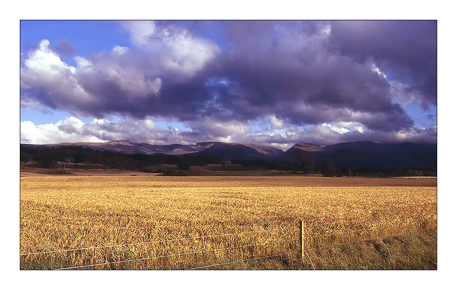 Wolkenaufmarsch