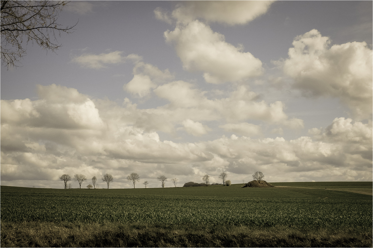 WolkenBäumeFelder