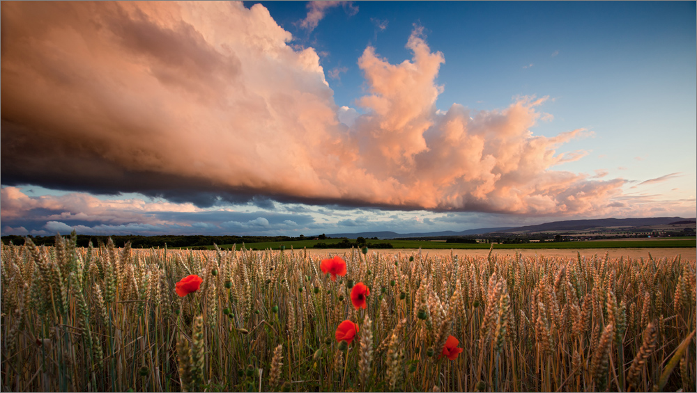 Wolkenband