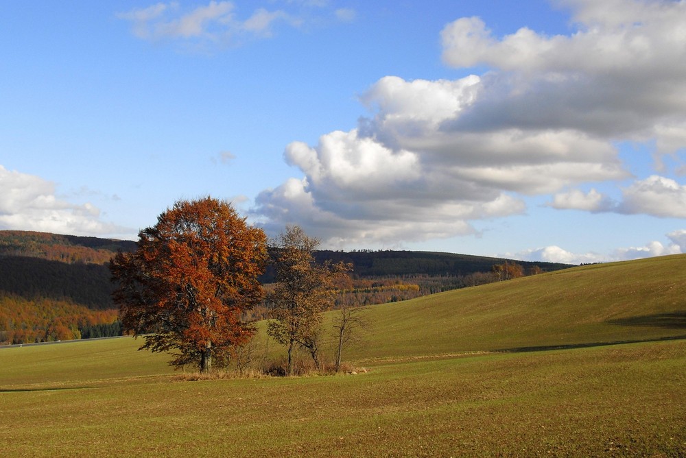 Wolkenband