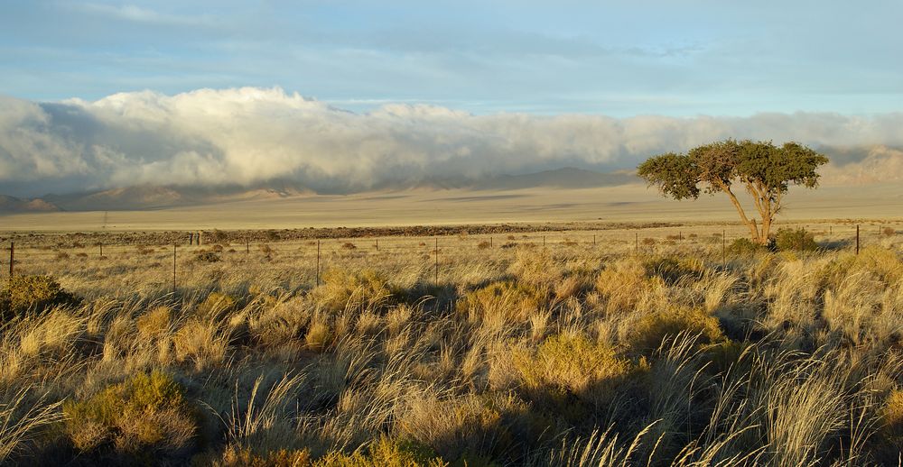 Wolkenband