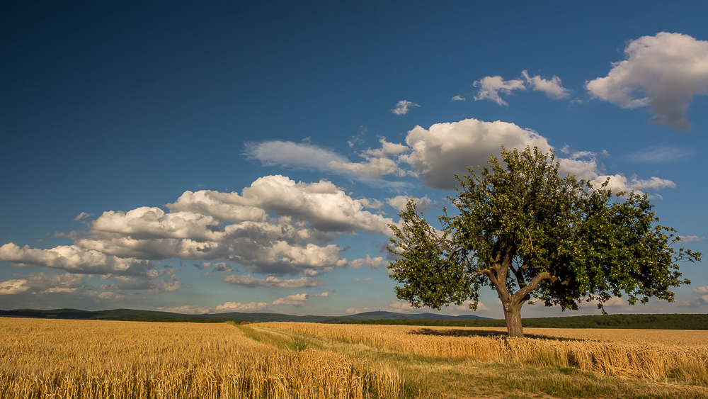 Wolkenband