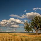 Wolkenband