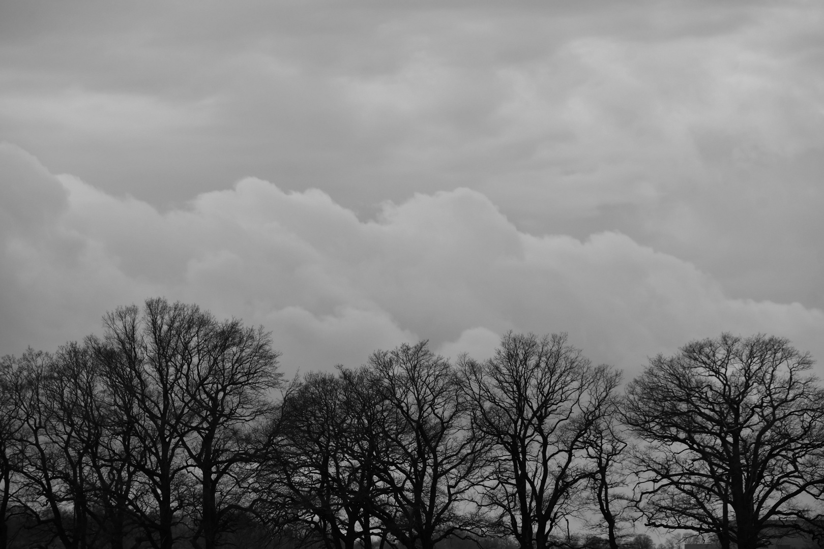 Wolkenbank