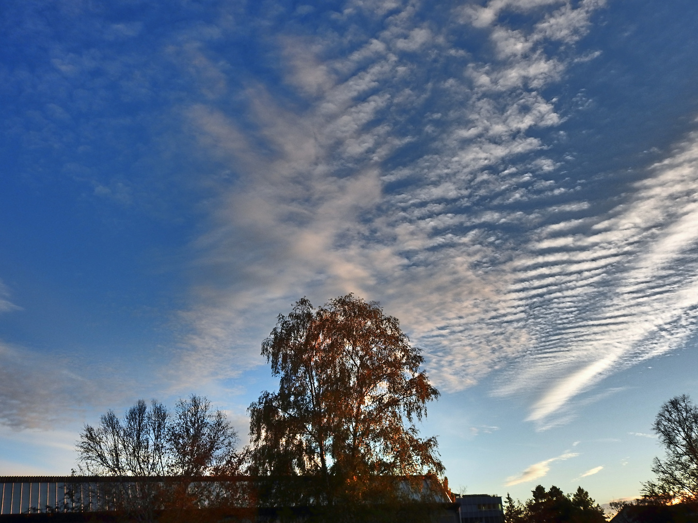 Wolkenbaum über Grenchen am 27.10.2020