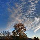 Wolkenbaum über Grenchen am 27.10.2020