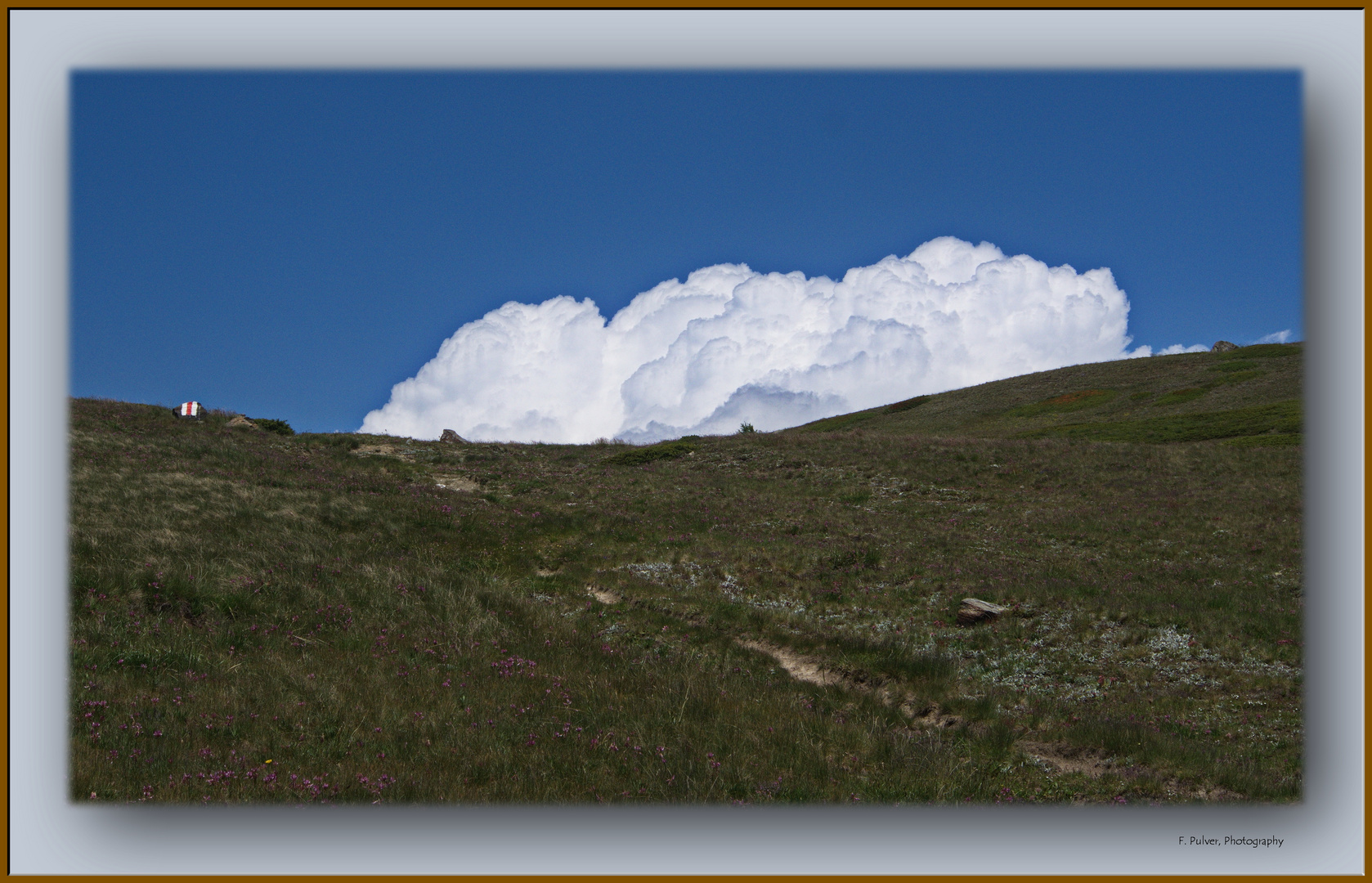 Wolkenbausch