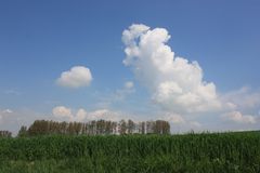 Wolkenberg über Grünland