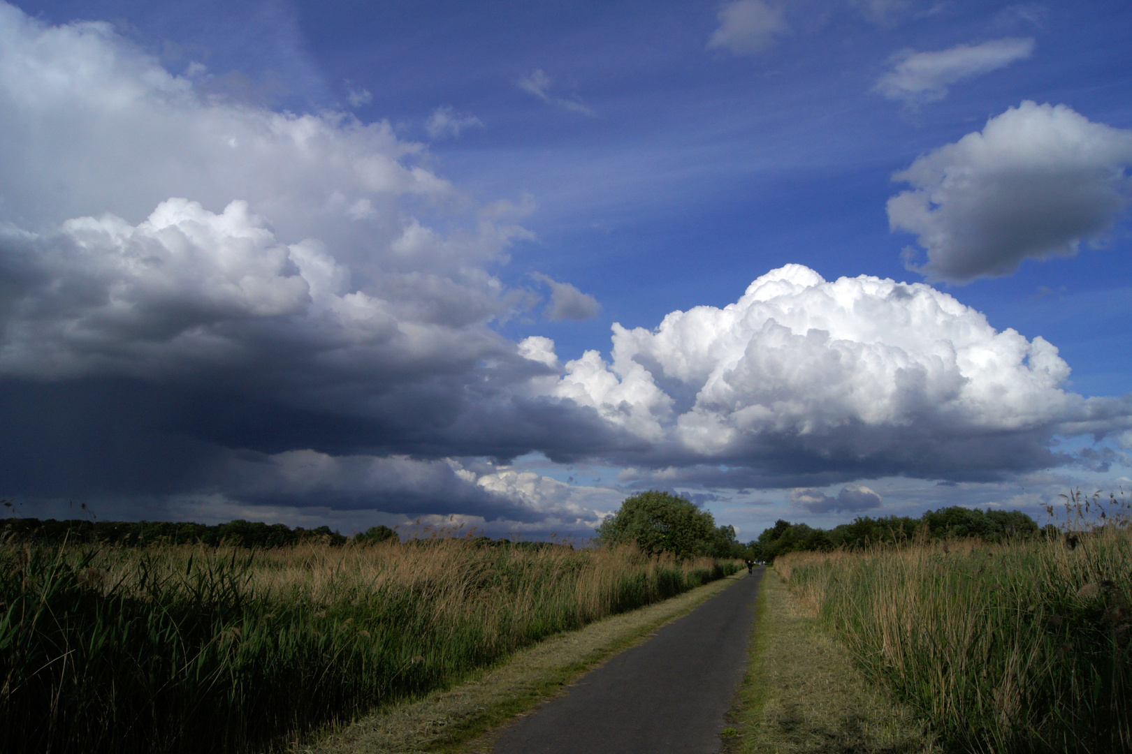 Wolkenberge