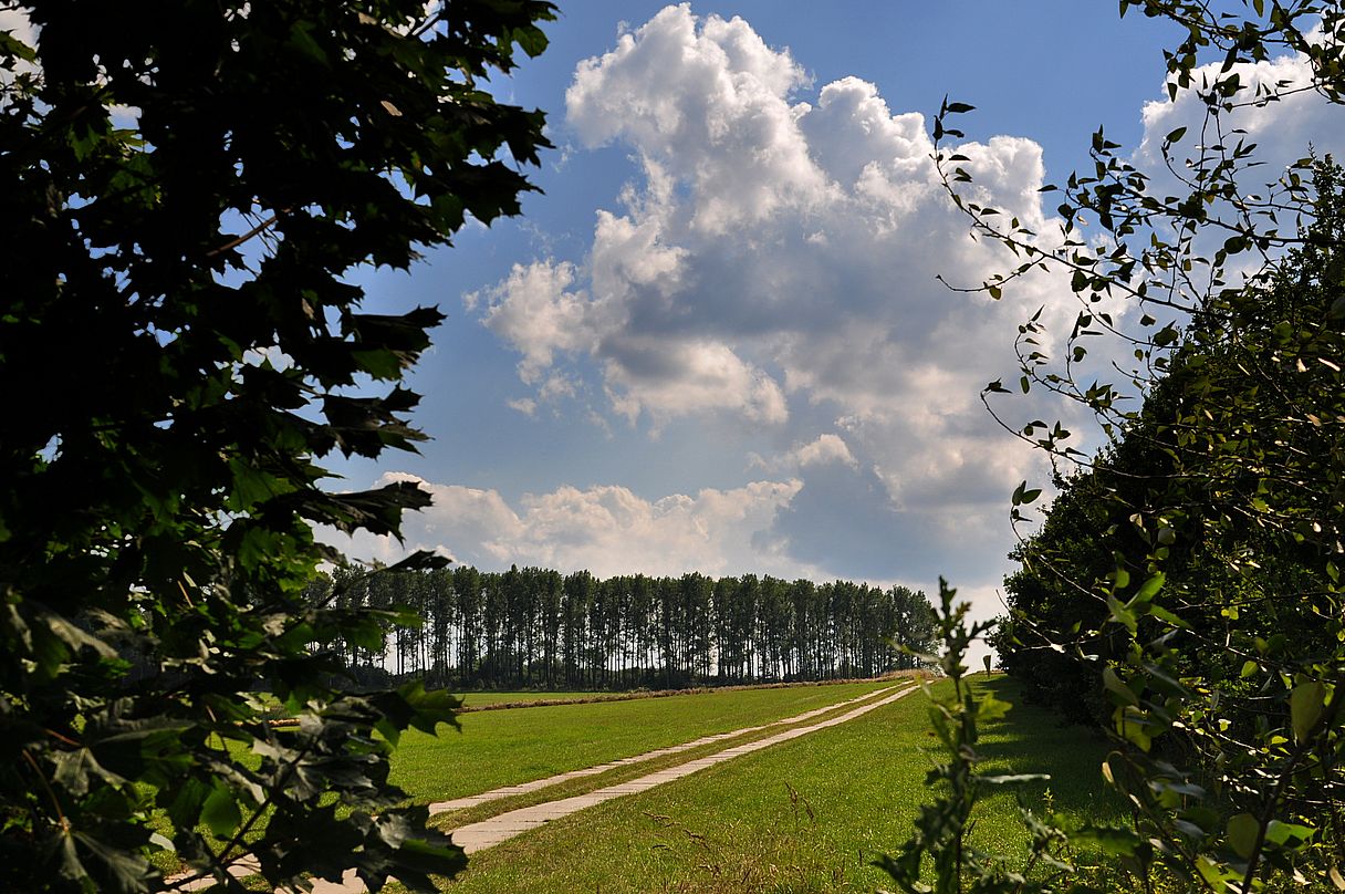 Wolkenberge