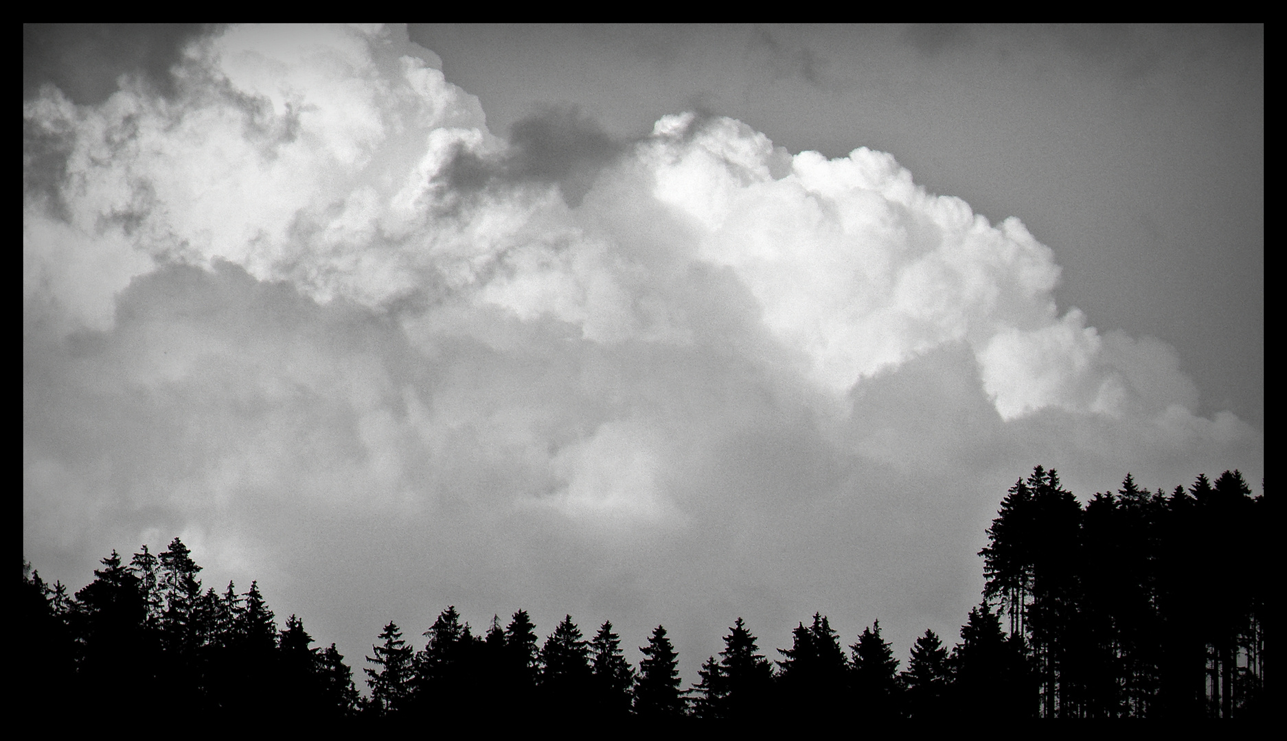 Wolkenberge über Tannenspitzen im Weserbergland