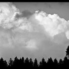 Wolkenberge über Tannenspitzen im Weserbergland