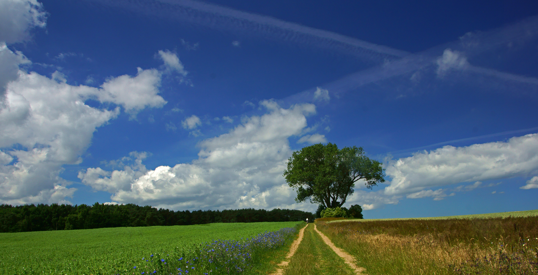 Wolkenbider über Usedom