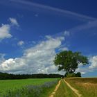 Wolkenbider über Usedom