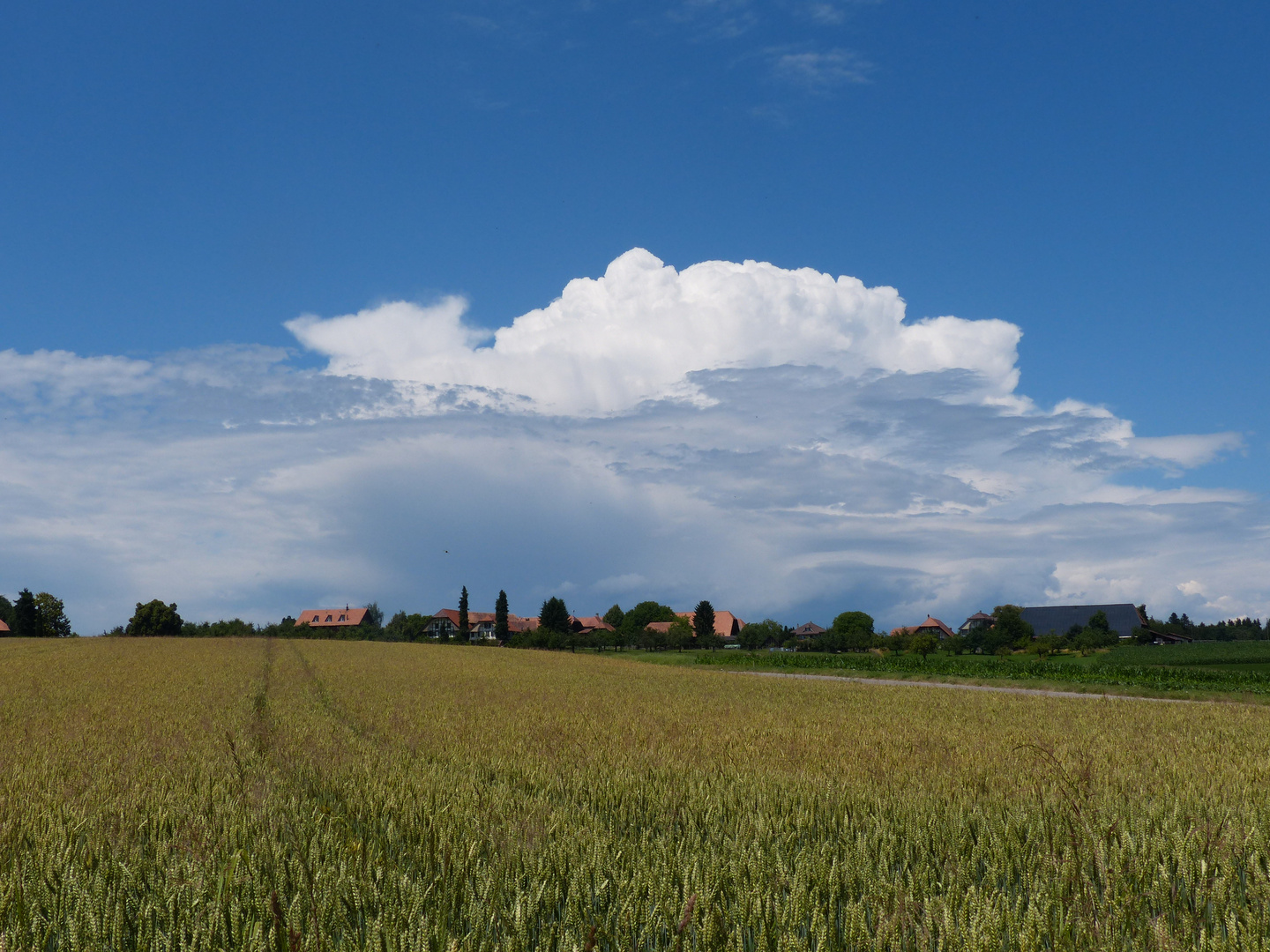 Wolkenbild