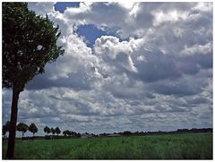 Wolkenbild