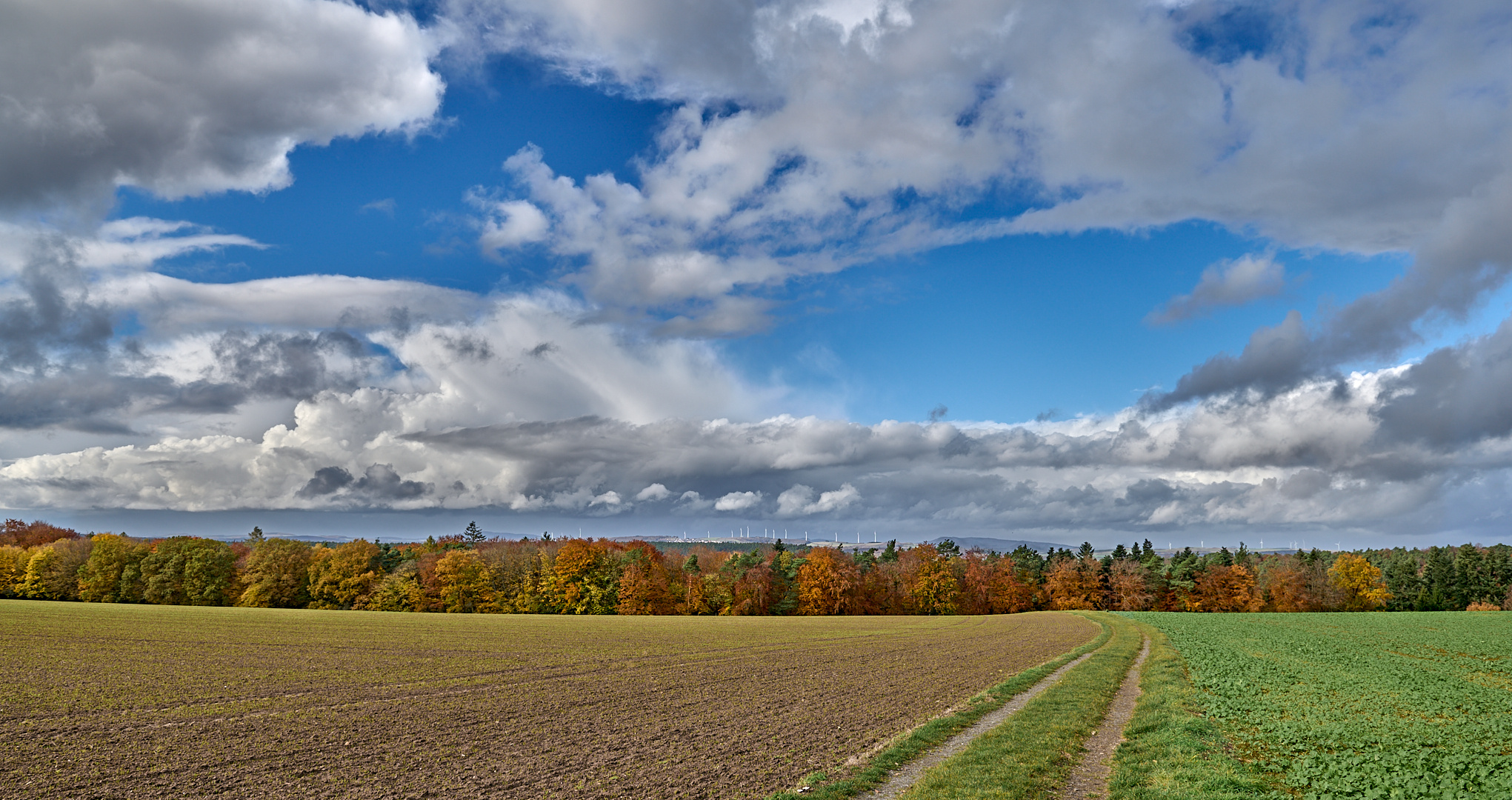 Wolkenbild und Herbstfarben harmonieren farblich bestens miteinander, das Licht...