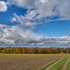 Wolkenbild und Herbstfarben harmonieren farblich bestens miteinander, das Licht...