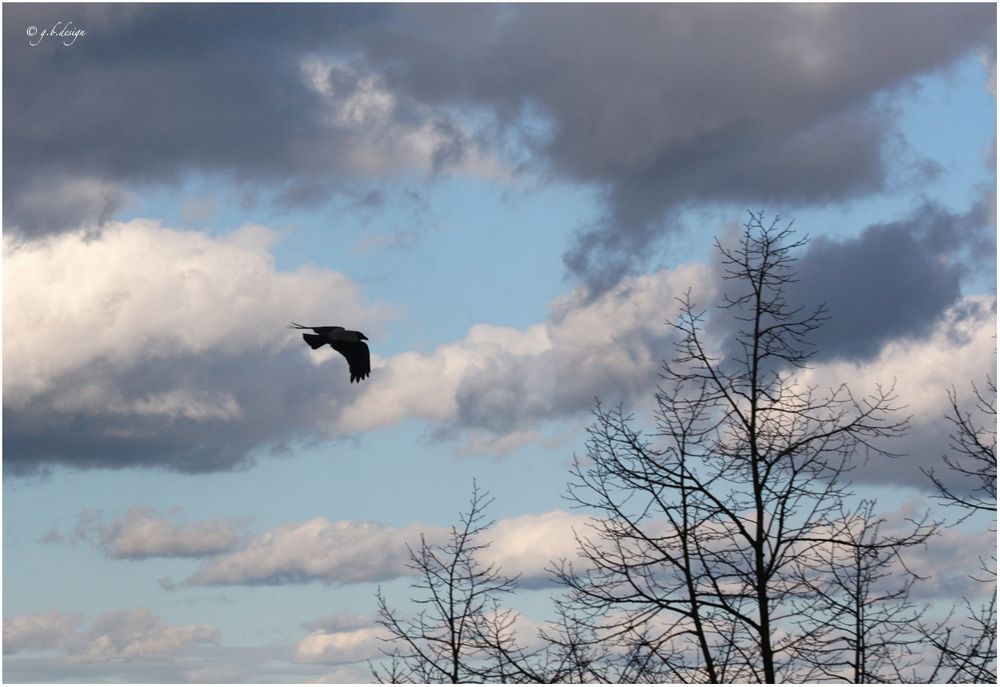 Wolkenbilder: ...der Weg