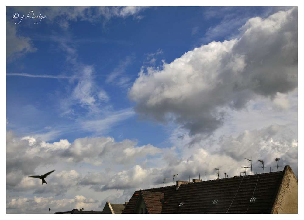 Wolkenbilder: Himmel vorm Balkon, mit Mauerseglern...