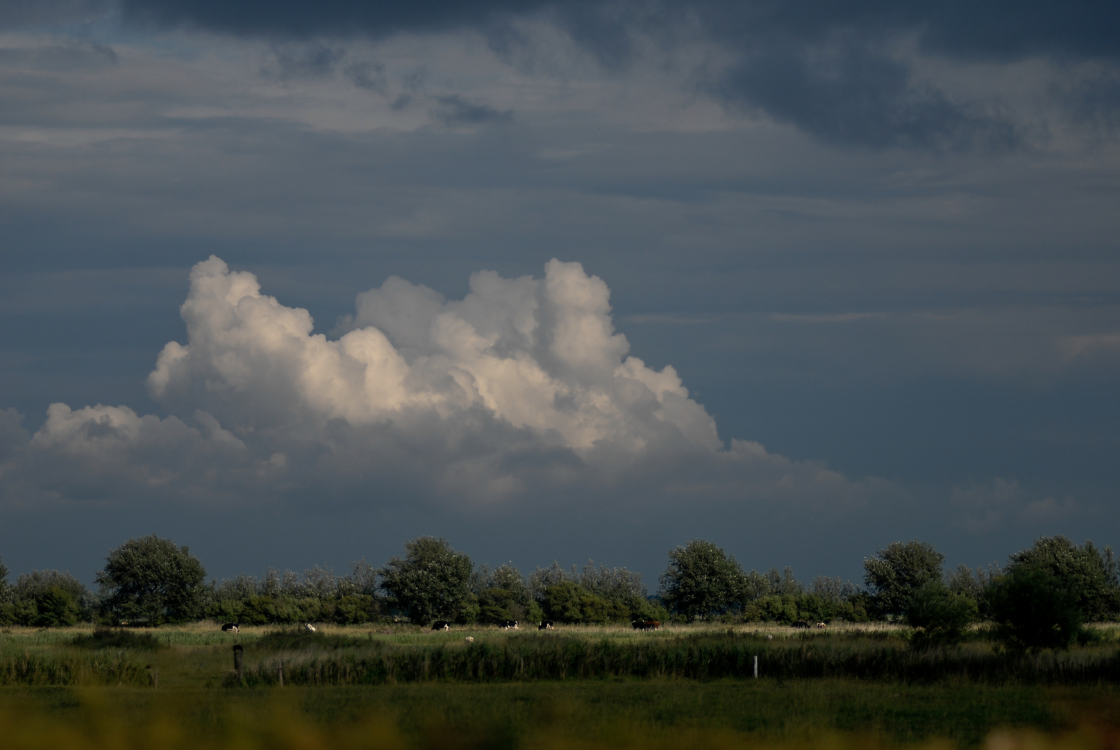 Wolkenbildung