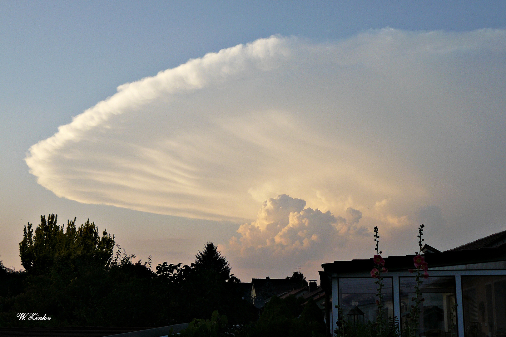 Wolkenbildung wie ein Pilz