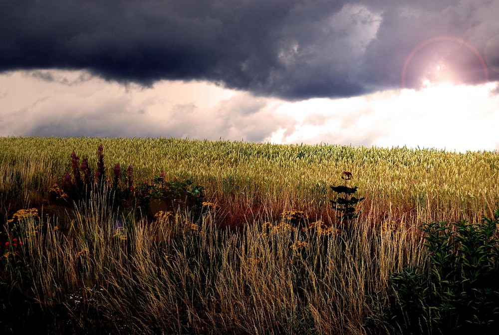 Wolkenbruch