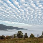 Wolkendecke