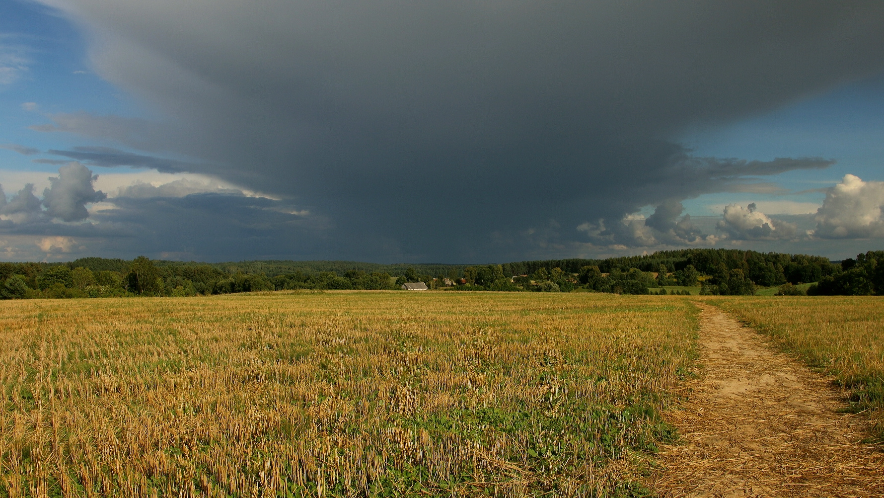 Wolkendienst 