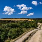 Wolkenentwicklung ... eine Minute später