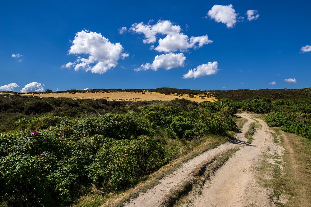 Wolkenentwicklung ... eine Minute später