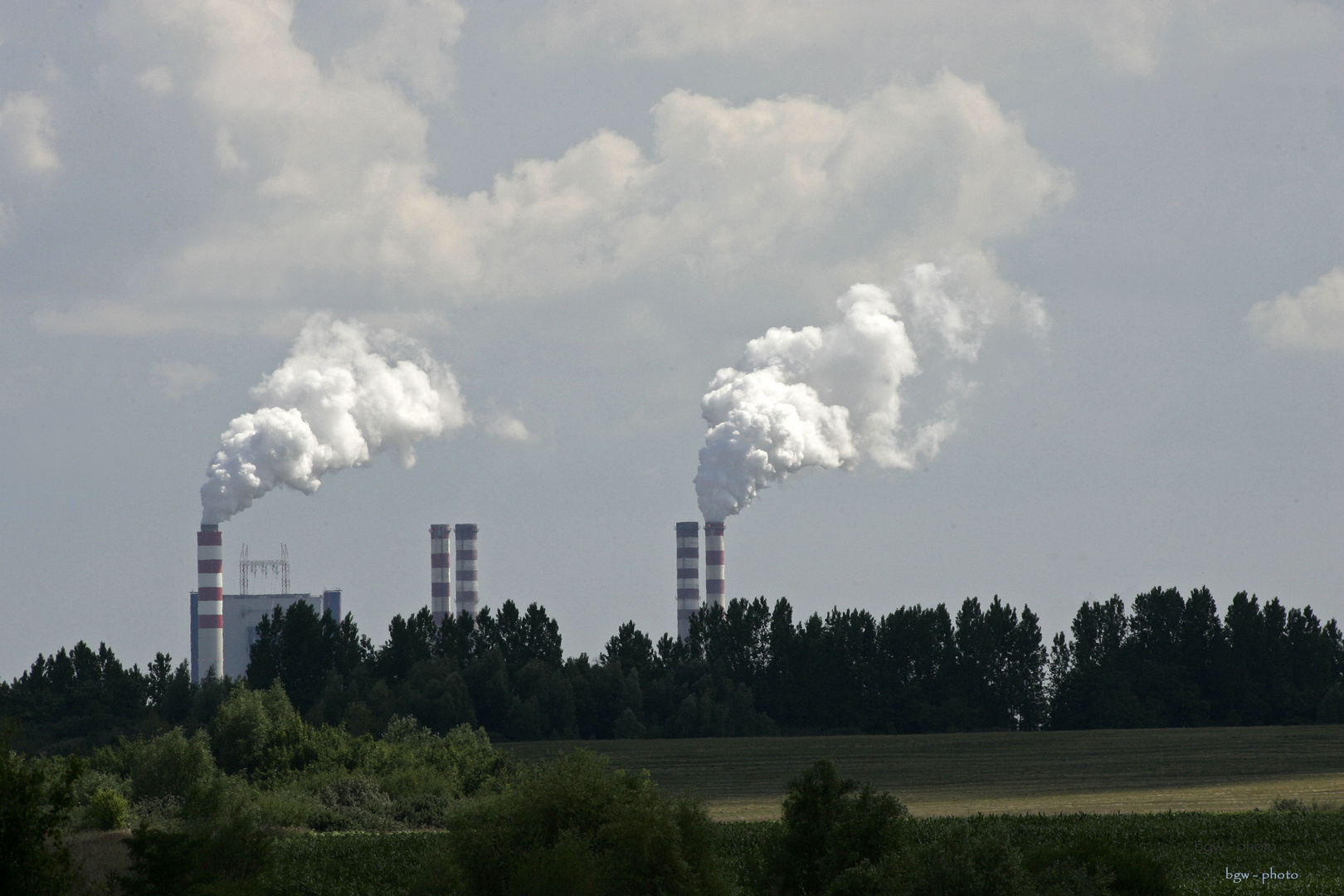 * Wolkenfabrik in GROSS *