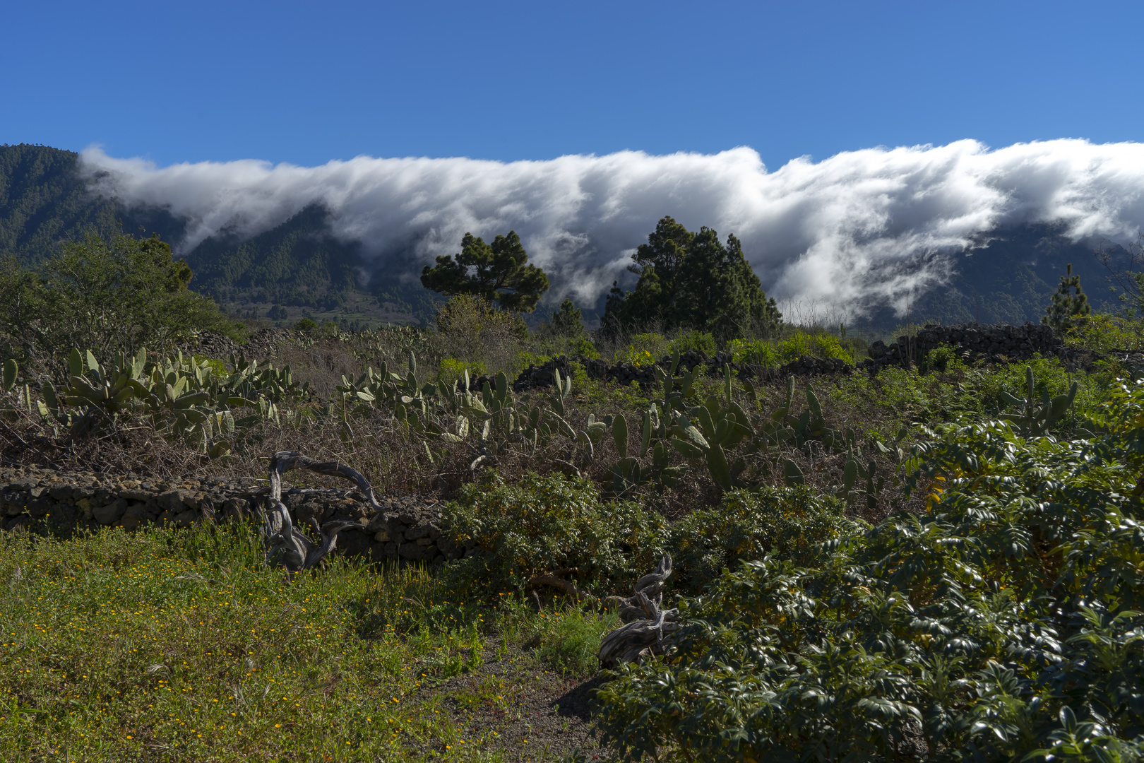 Wolkenfälle auf La Palma II