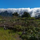 Wolkenfälle auf La Palma II