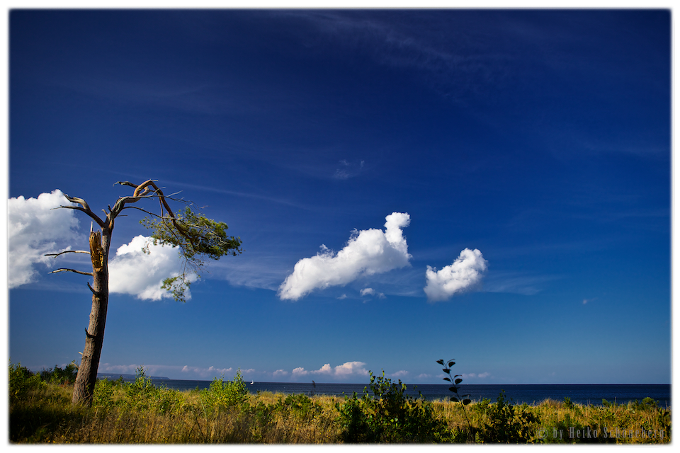 Wolkenfänger