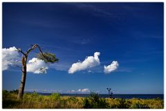 Wolkenfänger