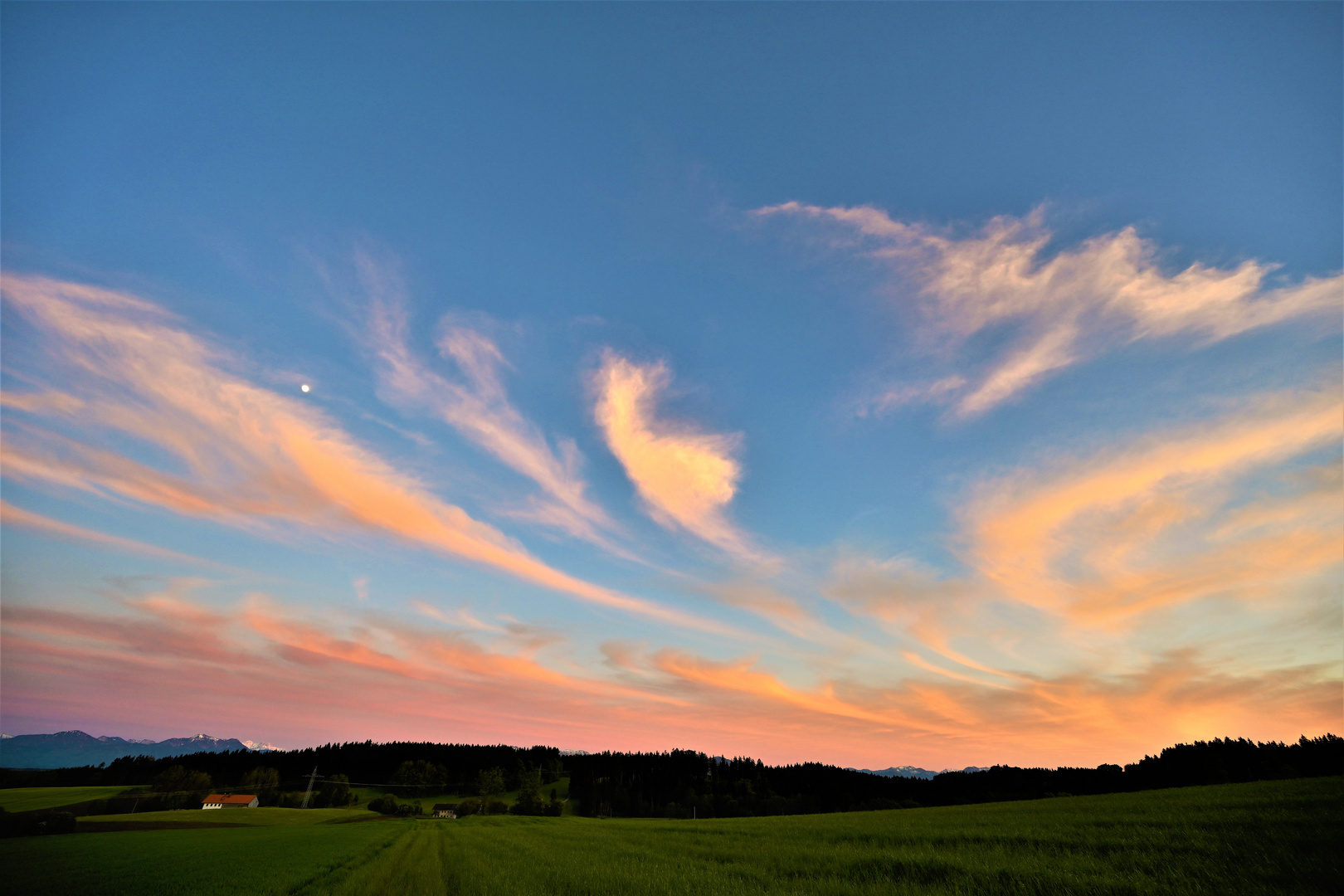 Wolkenfedern