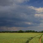 Wolken...Feld