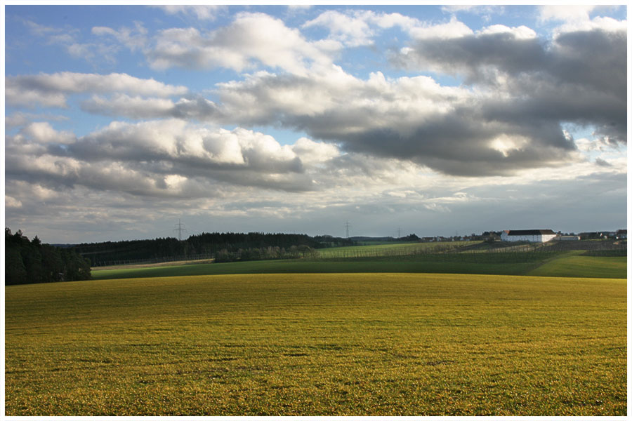 Wolkenfeld