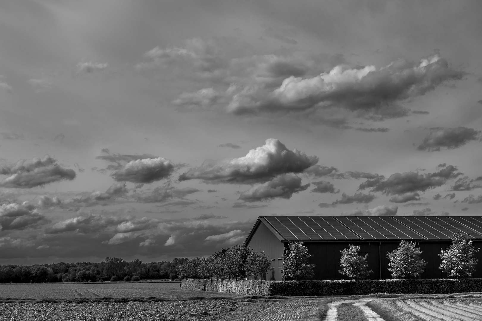 Wolkenfelder