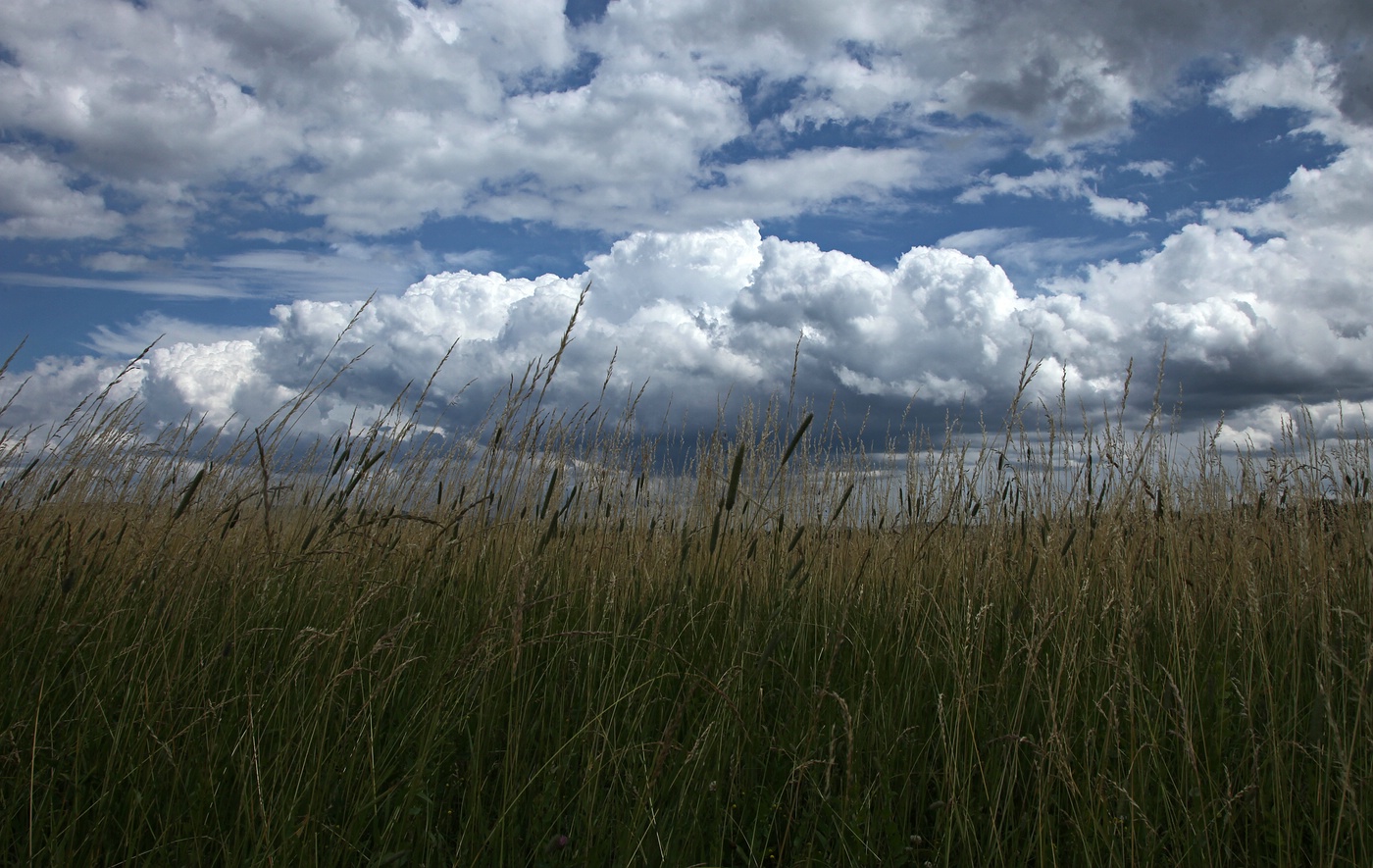 Wolkenfelder