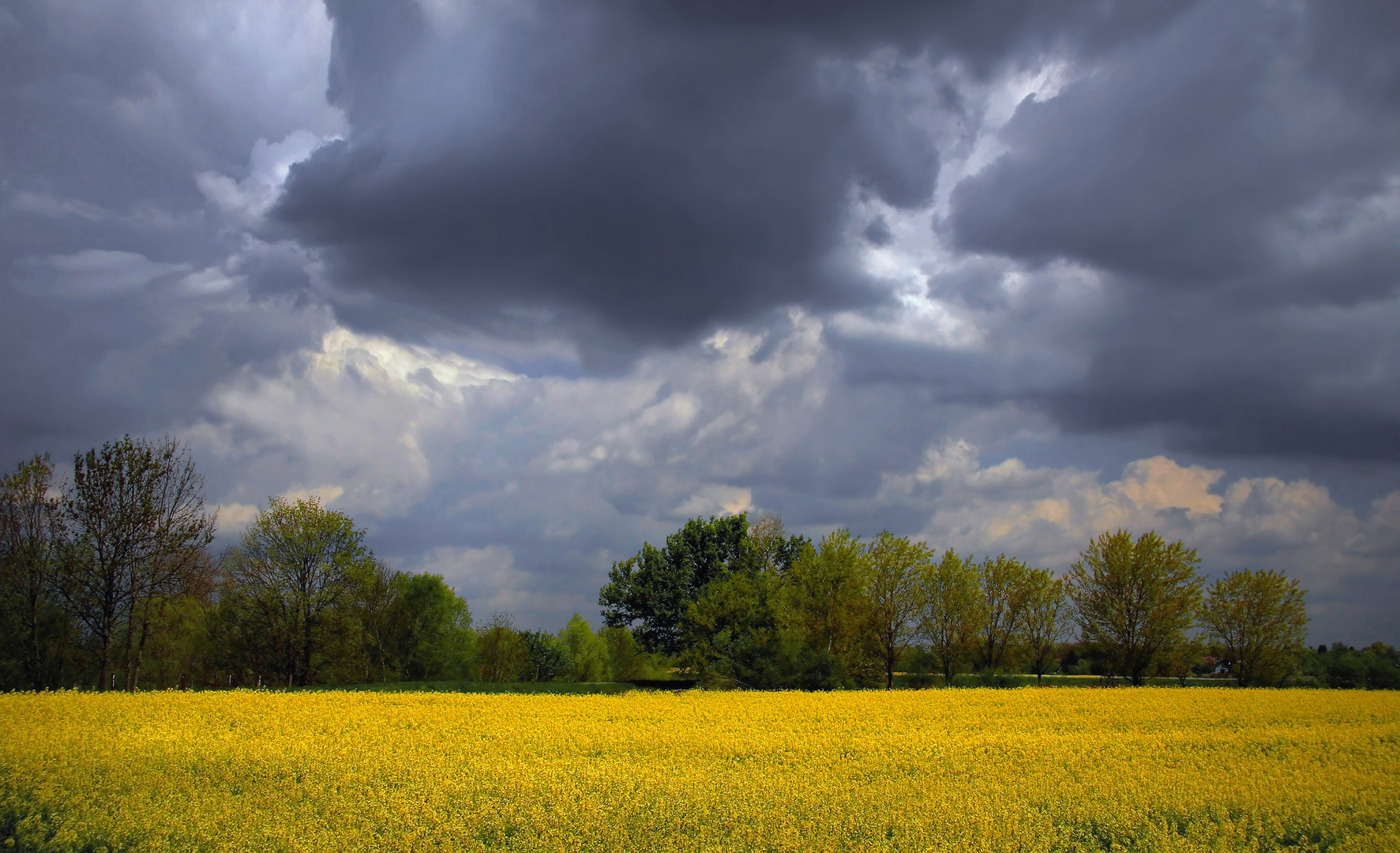 Wolkenfelder